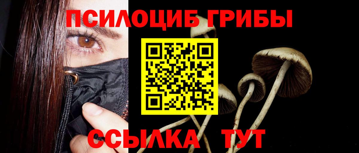 Галлюциногенные грибы прущие грибы  Вход с VPN  Строитель 